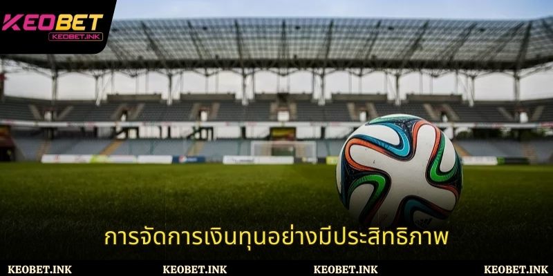 การจัดการเงินทุนอย่างมีประสิทธิภาพ