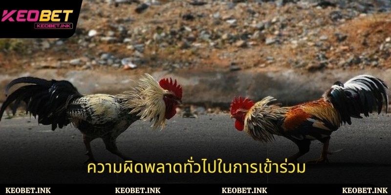 ความผิดพลาดทั่วไปในการเข้าร่วมชนไก่เปรู