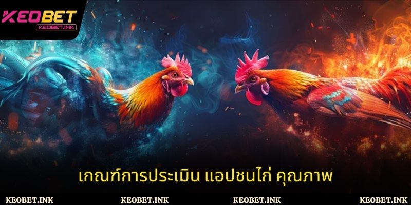 เกณฑ์การประเมิน แอปชนไก่ คุณภาพ