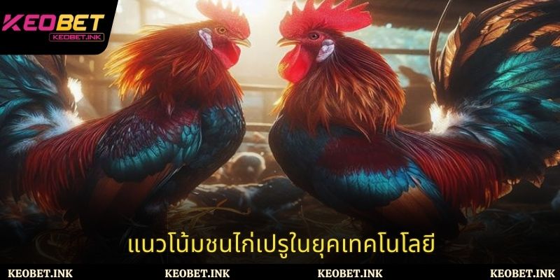 แนวโน้มชนไก่เปรูในยุคเทคโนโลยี