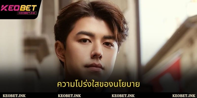 ความโปร่งใสของนโยบาย